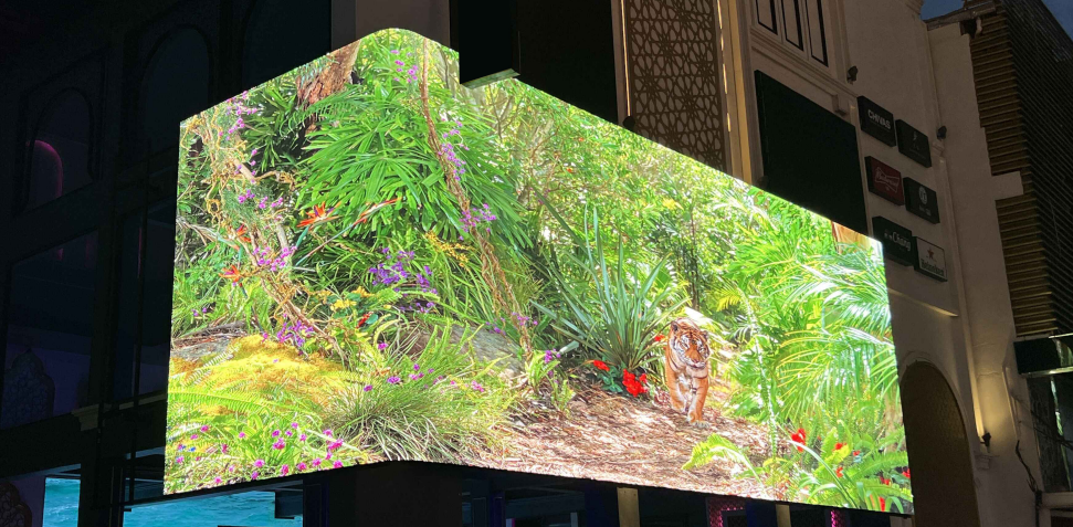 1750068162834172.png Outdoor LED Display(2).png